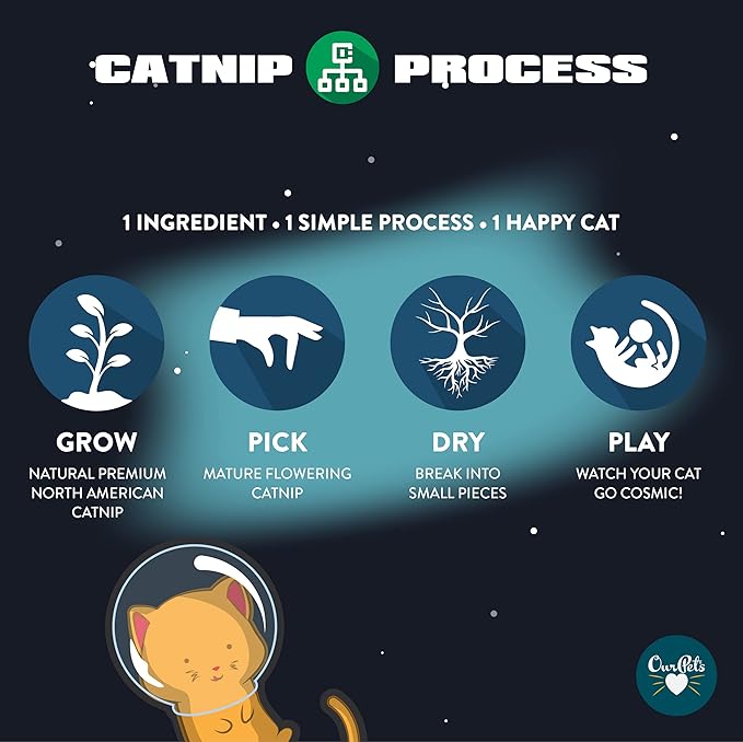 Our Pets Premium Catnip - 1.25 oz Jar of High Potency Catnip - 100% North American Grown