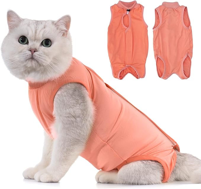 Avont Cat Recovery Suit - Kitten Onesie for Cats After Surgery, Cone of Shame Alternative Surgical Spay Suit for Female Cat, Post-Surgery or Skin Diseases Protection -Coral(S)