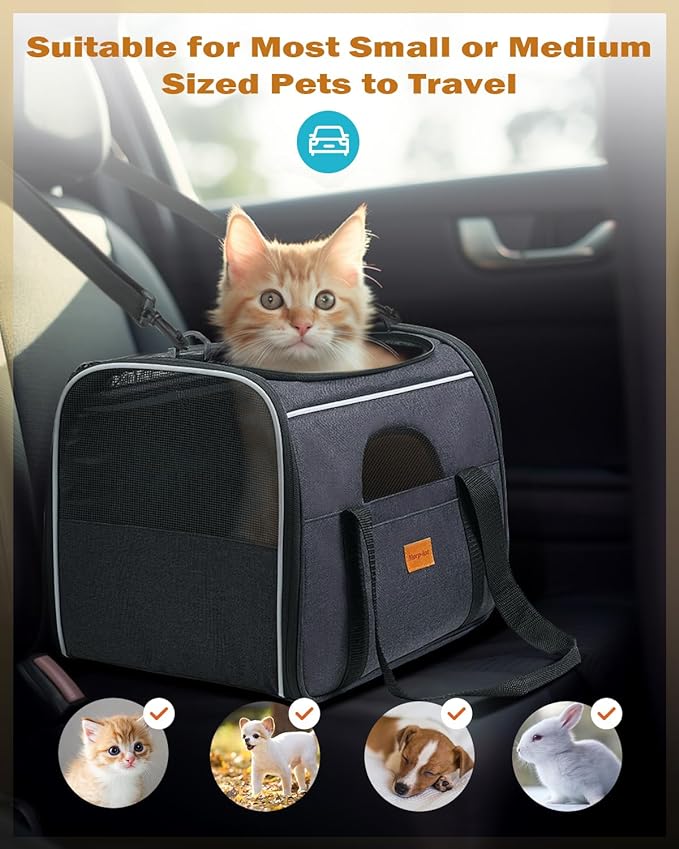 Morpilot Cat Carrier - Soft Sided Cat Carrier Large for Big Medium Cats and Puppy up to 15lbs, Pet Carrier with Safety Zippers, Foldable Bowl, Airline Approved Large Cat Carrier - Dark Gray