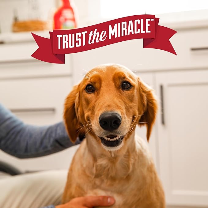 Nature's Miracle Advanced Stain and Odor Eliminator Dog for Severe Dog Messes