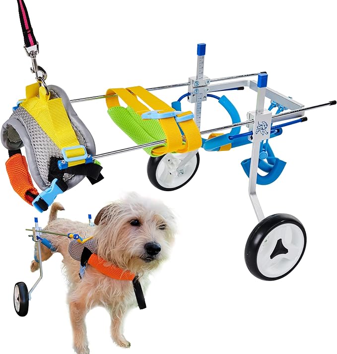 Adjustable Dog Wheelchair for Back Legs| Pet Wheelchairs with Disabled Hind Legs Walking|Stabel & Light Weight (7-Size) (XSLW)