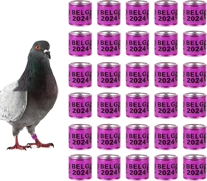 50Pcs Multicolor Aluminium Pigeon Leg Rings with 2024 BELG Training Identify Birds Foot Ring Identify 8mm Plastic Bird Leg Bands (Purple)