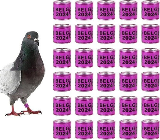 50Pcs Multicolor Aluminium Pigeon Leg Rings with 2024 BELG Training Identify Birds Foot Ring Identify 8mm Plastic Bird Leg Bands (Purple)