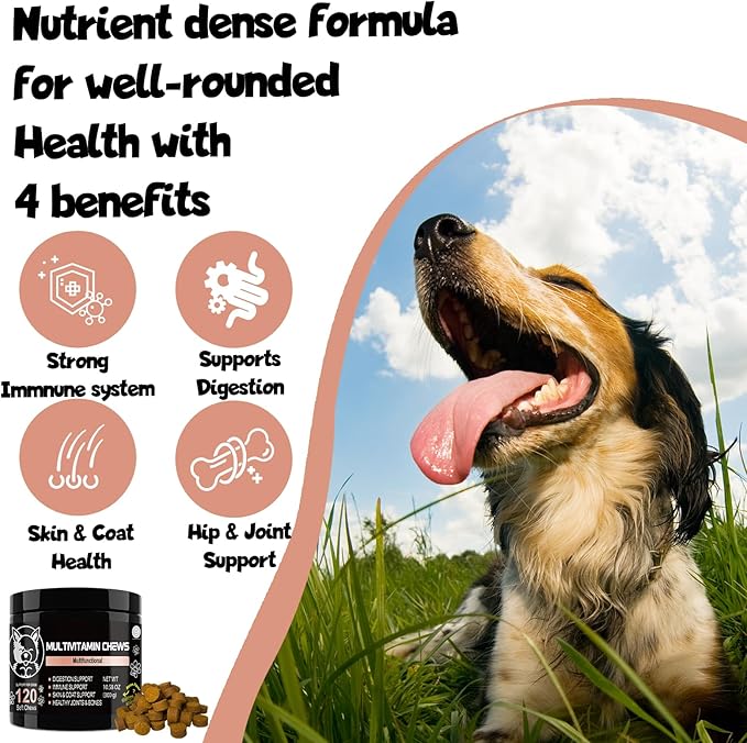 Pets - Dog Supplements & Vitamins -Dog Zinc Supplement - Pets Vitamins Supplements - Dog Vitamin B12 - Dog Multivitamin - Organic Dog Vitamins - Probiotic - Puppy Vitamins - Vitamin for Dogs