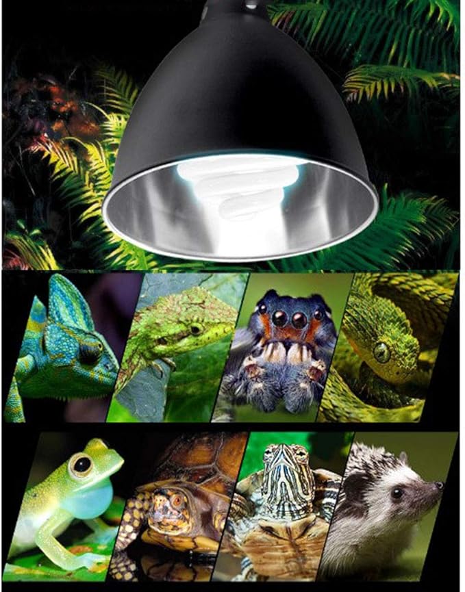 Hamiledyi Reptile Light Fixture 5.5 Inch Deep Dome Lamp Cap Lamp Fixture Optical Reflection Cover for Reptile Glass Terrariums