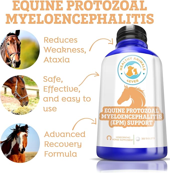 Horse All-Natural Equine Protozoal Myeloencephalitis (EPM) Support - Reduces Weakness, Ataxia & Loss of Coordination - Supplements for Horses - Highly Effective - 300 Tablets