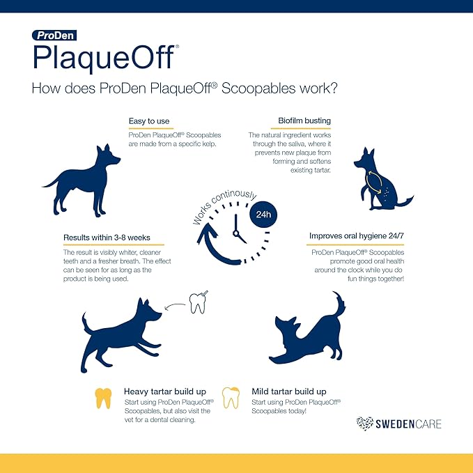 ProDen PlaqueOff Scoopables - Hickory Smoked Bacon Flavor Dental Bites for Small Dogs, Natural Kelp for Plaque & Tartar Control, Freshens Breath - Small & Medium Breed Dental Care- 45 Scoops