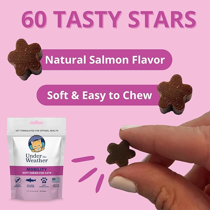 Under The Weather Pet Mobility Chews for Cats | Helps in Preventing Joint Issues | for Aging Cats Becoming Less Active | 60 Star Shaped Soft Chews