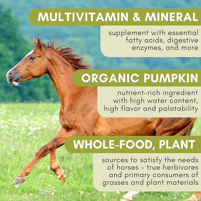 Wholistic Pet Organics Equine Complete: Horse Multivitamin for Total Body Health - Horse Supplement with Vitamins, Minerals, Prebiotics, Probiotics - Organic Pumpkin Flavor - 4 Lb