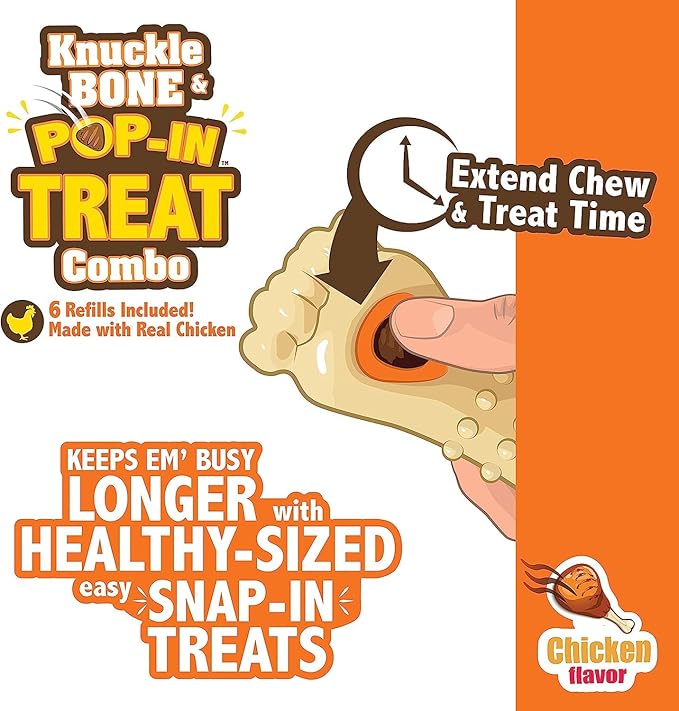 Nylabone All-Natural Pop-in Dog Treat Refills Chicken Pop-in (30 Count) (Pack of 2)