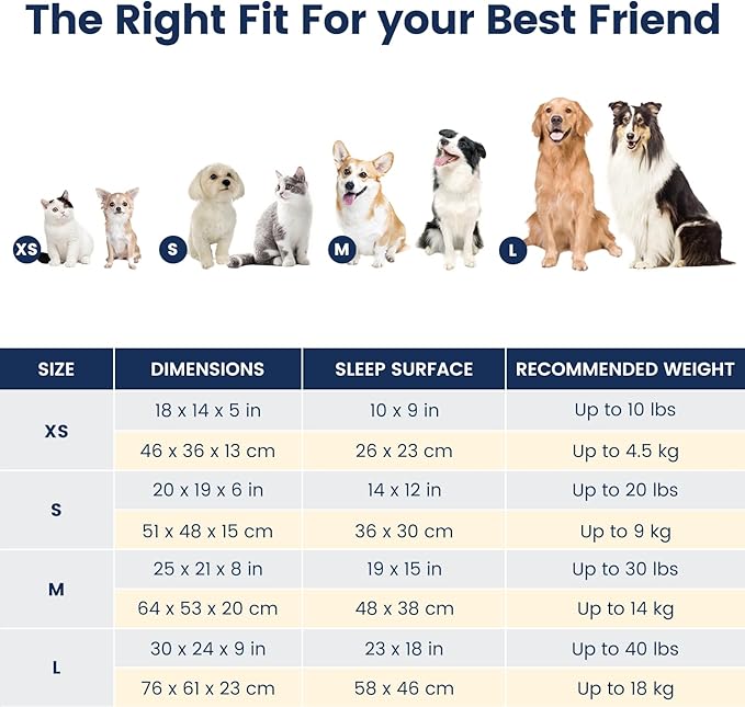 Miguel Washable Cat Beds for Indoor Cats with Removable Cushion, Easy to Wash Small Pet Sofa Bed with Side, Rectangle Bolster Kitten Bed Calming Cuddle Puppy Bed with Anti-Slip Bottom, Blue 20 Inch