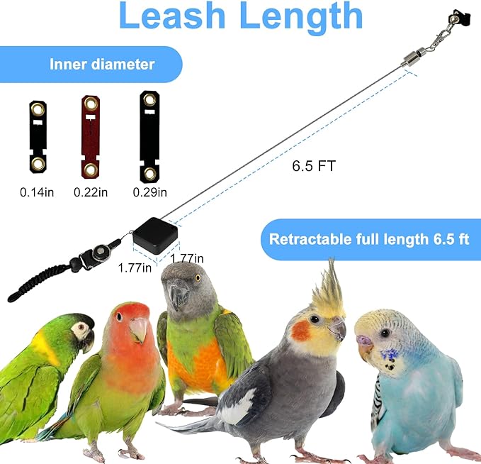 Bird Leash,Bird Harness,Retractable Anti-Bite Parrot Harness,with 3 Different Sizes of Soft Foot Ring,for Birds Outdoor Flight Training,for Budgies,Cockatiels,Psittacula Longicauda,Mini Macaws,6.5Ft