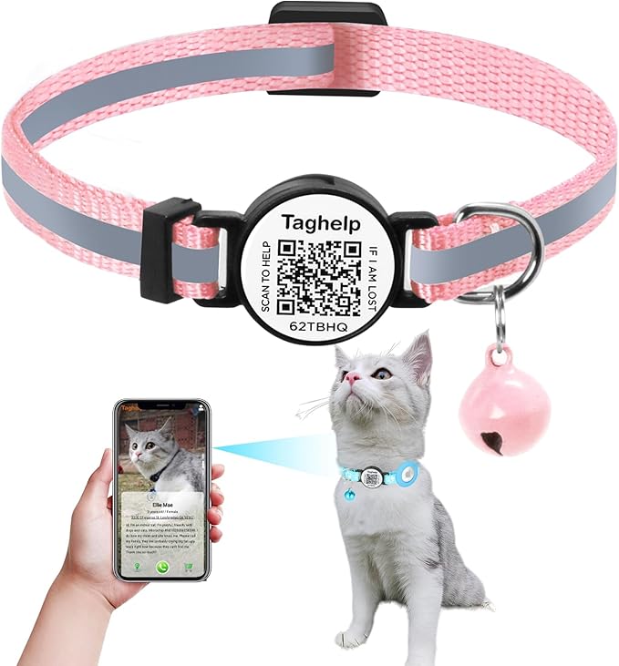 Cat Collar with Name Tag Breakaway: Kitten Collars for Girl Boy Cats with Smart Name Tags, Ultra Soft & Elastic Adjustable (7"-12") Cat Collar with Break Away Safety Buckle (Pink A)