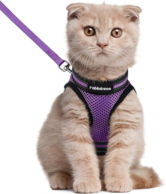 rabbitgoo Cat Harness and Leash Set for Walking Escape Proof, Adjustable Soft Kittens Vest with Reflective Strip for Cats, Comfortable Outdoor Vest, Purple, L