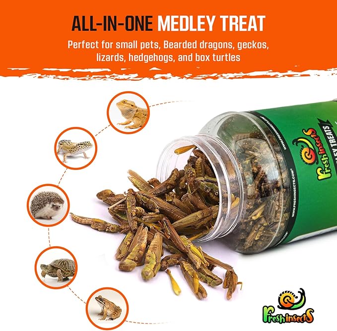 Medley Treat Bearded Dragon Food - Freeze Dried Mealworms, Grasshoppers, Crickets, Quality Tested, Vitamin & Calcium Enriched, Essential Proteins, Fats & Minerals - for Bearded Dragons, Reptiles 6 oz