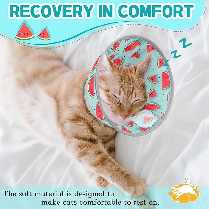 Cat Cone Collar Soft, Comfortable Cat Recovery Collar Pet Cone for Small Large Cats, Lightweight Elizabethan Collar for Cats Kittens After Surgery Prevent from Licking Wounds, Light Blue, S