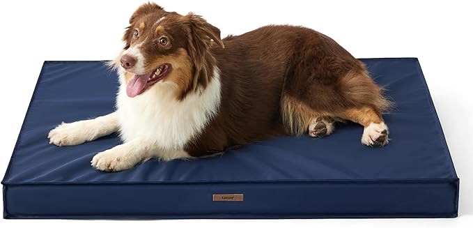 Lesure Waterproof Dog Bed for Medium Dogs - Outdoor Dog Bed with Oxford Fabric Surface, Medium Egg Orthopedic Foam Pet Bed with Removable and Durable Cover, Machine Washable, Navy