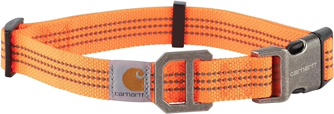 Carhartt Dog Collar Hunter Orange/Brushed Nickel Medium