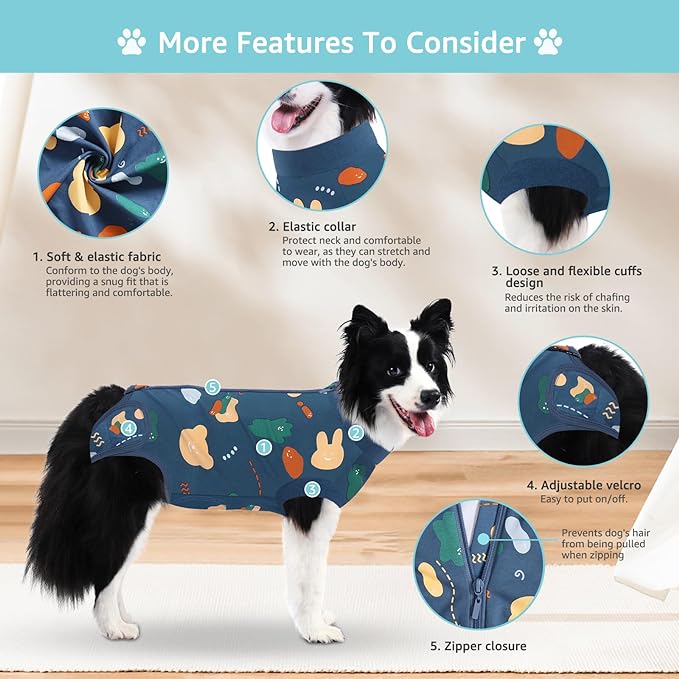 2 Packs Dog Recovery Suit Female Male, Blue Bear + Brown Bear, L