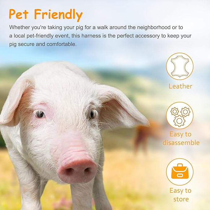 Mini Pig Harness & Leather, Pet Pig Supplies, Adjustable Rope (9 inches long -1/2 inches diameter), Suitable for Small and Medium-sized Pet Pigs(Grey)