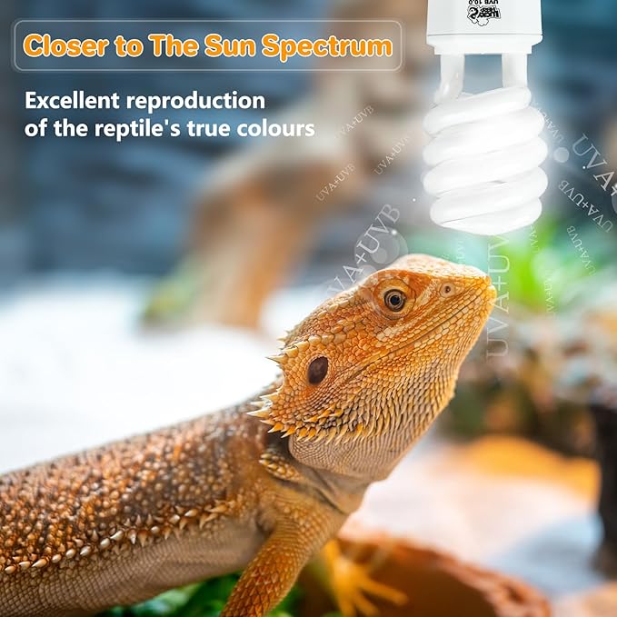 LUCKY HERP UVA UVB Reptile Light 10.0, Desert UVB 150 Compact Fluorescent Lamp 23W