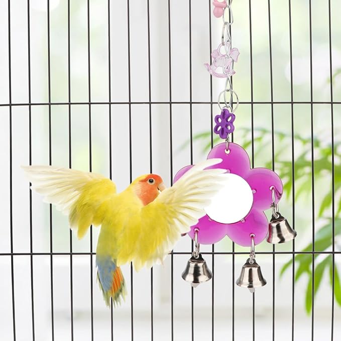 Hypeety Pet Bird Mirror with Bell Interactive Parrot Toy for Parrot Macaw African Greys Budgies Cockatoo Parakeet Cockatiels Conure Lovebird Cage Bells Mirror (B)