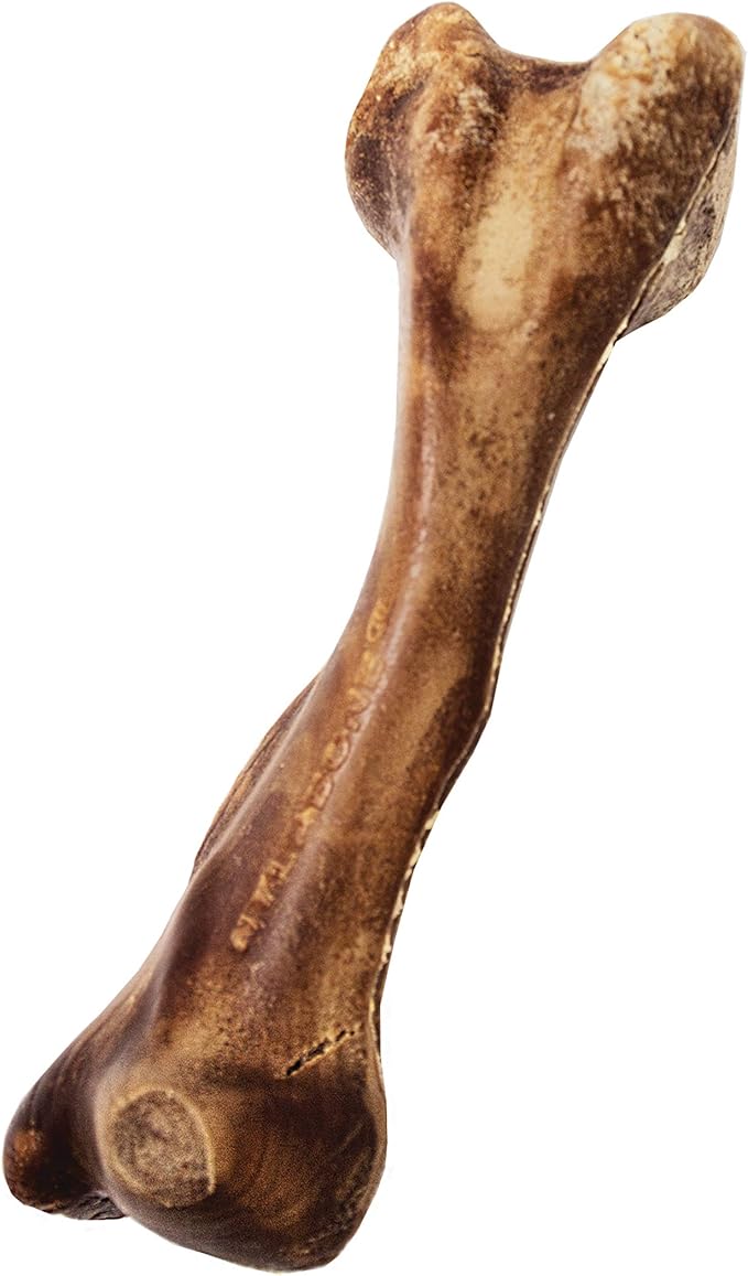Nylabone Healthy Edibles Natural Long Lasting Venison Flavor Dog Chew Treats Wild Bone Large/Giant(1 Count)