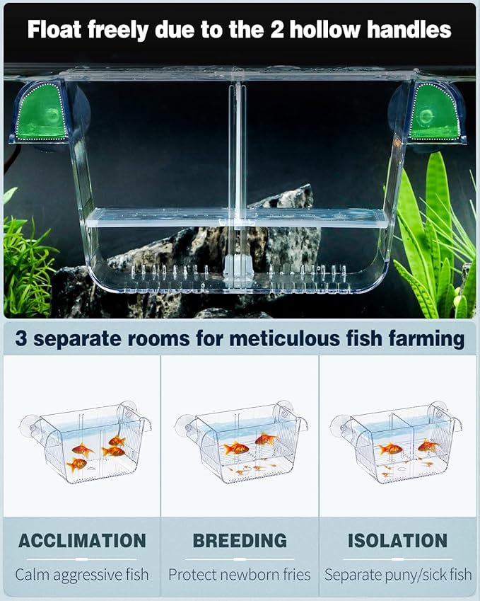 Pawfly Aquarium Fish Breeding Box, Fish Tank Hatchery Incubator with 6 Suction Cups Acrylic Hatching Box for Baby Fish Shrimp Betta Medium Acclimation Isolation Box