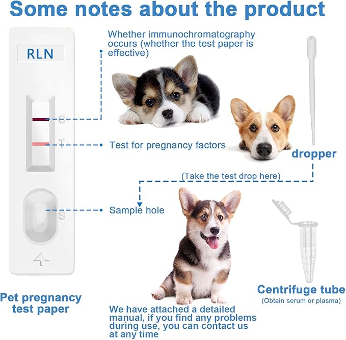 Pet Dog Pregnancy Test Paper,Canine RLN Early Pregnancy Test Kit, Simple Operation for Early Pregnancy Detection Yourself at Home, Pet Pregnancy Test Complete Tool Kit (1PCS)