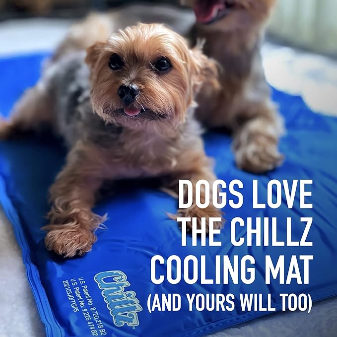 Chillz Dog Cooling Mat, Medium - Pressure Activated Cooling Mat for Dogs and Cats - No Water or Refrigeration Needed - Non-Toxic Gel Cooling Pad, Ideal for Home and Travel - 19.5 x 15.7 Inches