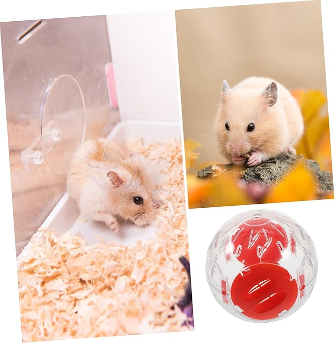 6 Pcs Small Hamster Sports Ball Exercise Balls for Guinea Pig Small Animals Running Balls Hedgehog Exercise Balls Gerbils Running Balls Small Pet Supplies Small Hamster Ball