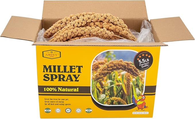 Amzey 5.5 LB Spray Millet for Parakeets, 100% Natural Dried Millet Grain for Birds, Non-GMO Millet Spray Bird Treat, Birds Millet, Cockatiel, Finches, Parrots & Lovebirds