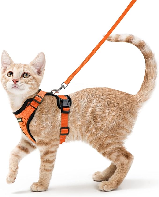 rabbitgoo Cat Harness and Leash for Walking, Escape Proof Soft Adjustable Vest Harnesses for Cats, Easy Control Breathable Reflective Strips Jacket, Orange, XS