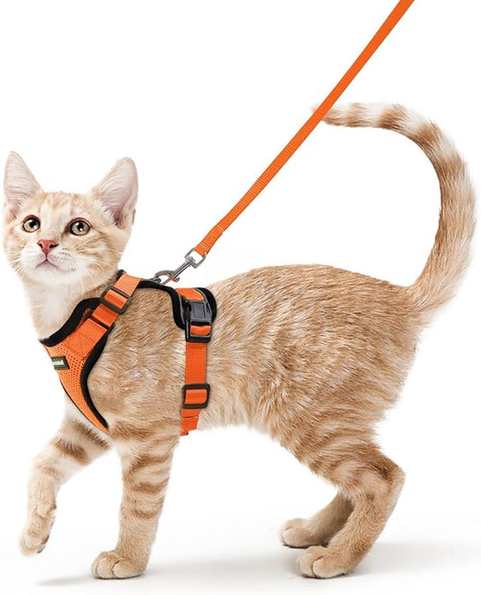 rabbitgoo Cat Harness and Leash for Walking, Escape Proof Soft Adjustable Vest Harnesses for Cats, Easy Control Breathable Reflective Strips Jacket, Orange, S