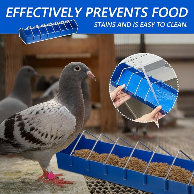 Tioncy 4 Pcs Pigeon Feeder Bird Dispenser Slot Container Poultry Food Dish Dispenser Tool Less Waste Plastic Thick Slot for Feeding Chicken Duck Quails Birds with Removable Steel Wire Partition