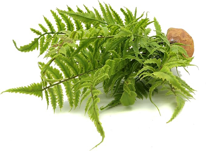 Lifelike Reptile Tank Plant Decor - Realistic Artificial Plastic Plant for Terrariums and Pet Enclosures (Style B)