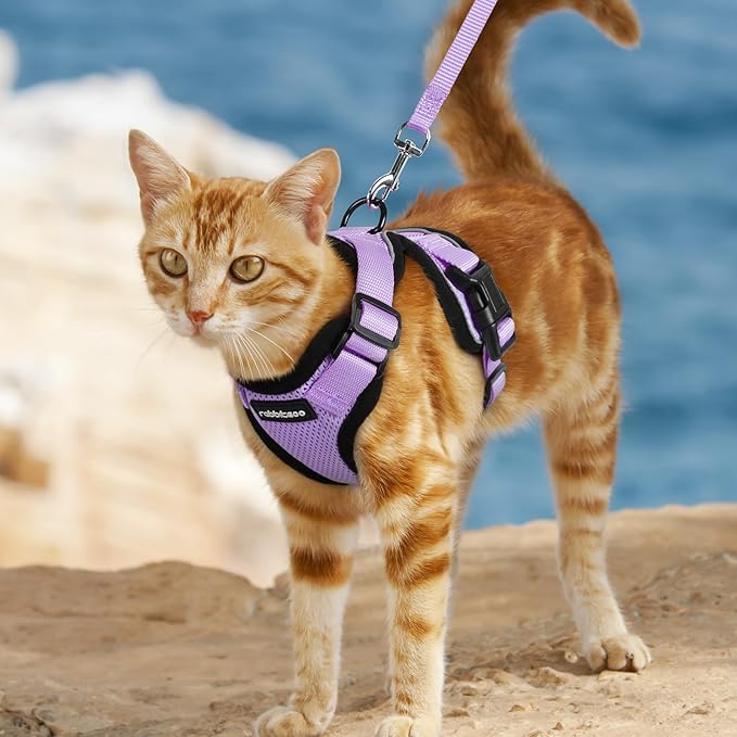 rabbitgoo Cat Harness and Leash for Walking, Escape Proof Soft Adjustable Vest Harnesses for Cats, Easy Control Breathable Reflective Strips Jacket, Light Purple, XXS