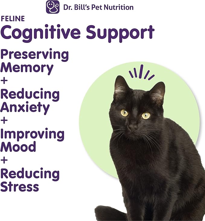 Dr. Bill's Feline Cognitive Support | Memory Support Supplement for Cats | Pet Supplement | Contains Gingko Biloba, L-Carnosine, Vitamin B-12, L-Glutamine, L-Tyrosine, and DHA