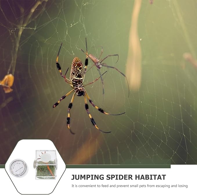 Mipcase 2pcs Jumping Spider Enclosure, Acrylic Spider Terrarium Transparent Jumping Spider Habitat for Jumping Spider Accessories