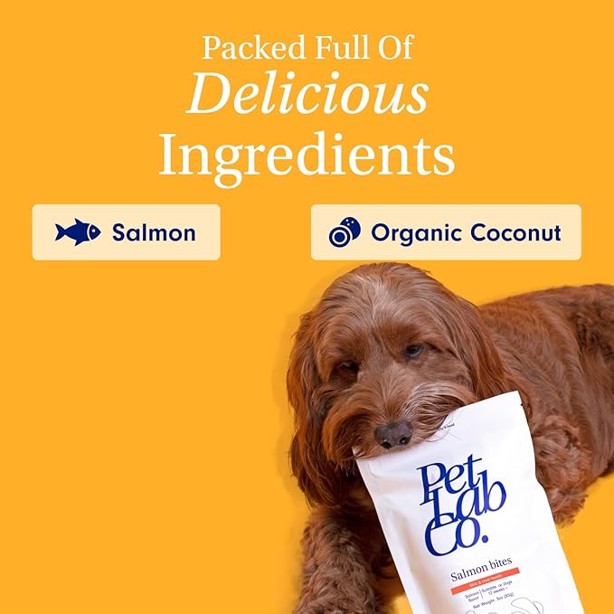 Petlab Co. Salmon Bites for Dogs – Premium Salmon Dog Treats with Beneficial Fatty Acids, Vitamins & Minerals - Carefully Selected Ingredients – Delicious Reward