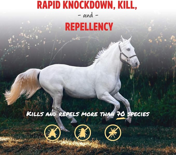 Manna Pro Pro-Force Fly Spray | Rapid Knockdown Fly Repellent for Horses | Repels More Than 70 Listed Species for up to 14 Days | 32 oz (Pack of 2)