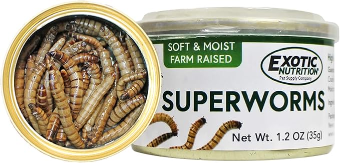 Canned Superworms (1.2 oz.) - Healthy High Protein Insect Treat - Hedgehogs, Sugar Gliders, Reptiles, Wild Birds, Chickens, Lizards, Bearded Dragons, Skunks, Opossums, Fish, Amphibians, Turtles