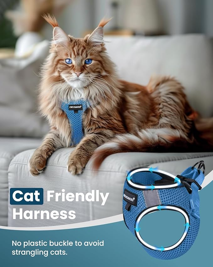 Cat Harness, Cat Leash and Harness Set for Walking Escape Proof, Harness for Small Cats/Small Dogs, Large Kitten/Puppy Harness and Leash, Harness for Cats S-XXL(Tranquil Teal, Medium)