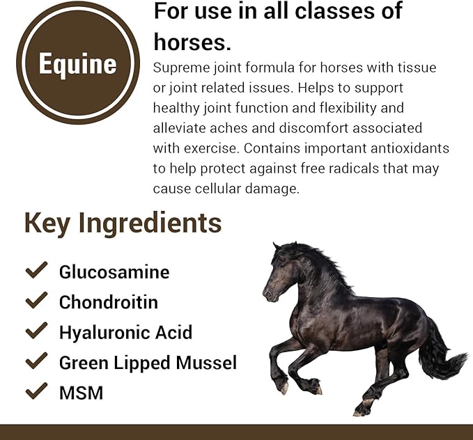 Vet Classics ArthriEase-Gold Joint Formula for Horses, Glucosamine, Chondroitin, Hyaluronic Acid & MSM Supports Joint Function & Flexibility, Alleviates Aches & Discomfort, 4 lb Powder, 120 Day Supply