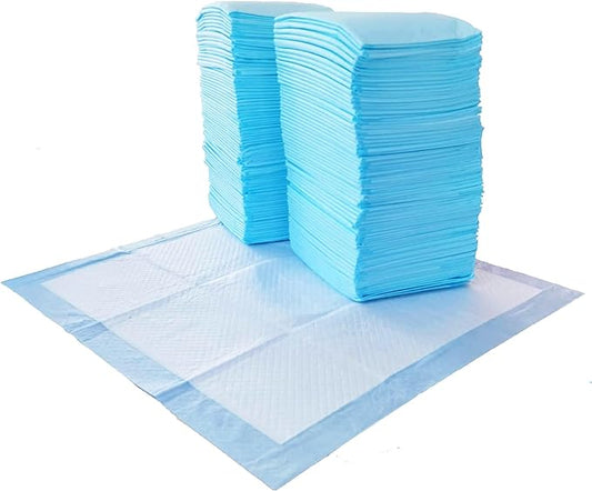 Amazon Basics Dog and Puppy Pee Pads with 5-Layer Leak-Proof Design and Quick-Dry Surface for Potty Training, Regular, 22 x 22 Inch, Scented, Pack of 100, Blue & White