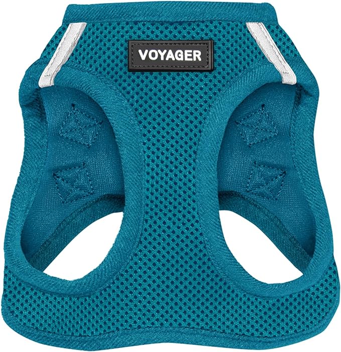 Voyager Step-in Air Dog Harness - All Weather Mesh Step in Vest Harness for Small and Medium Dogs and Cats by Best Pet Supplies - Harness (Turquoise), M (Chest: 16-18")