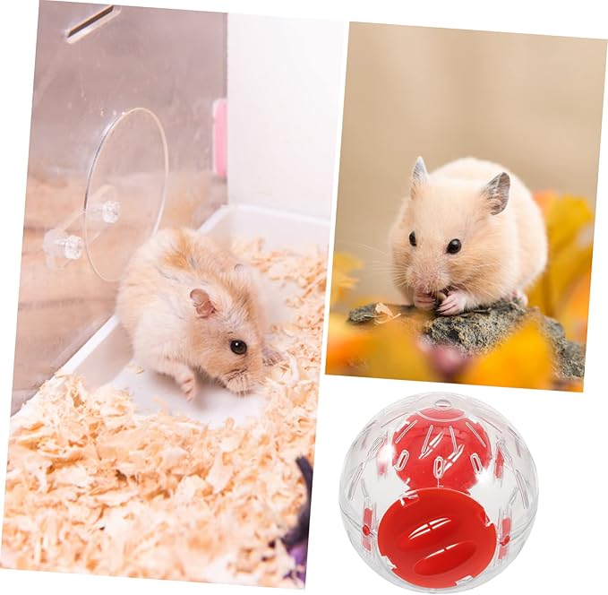 8 Pcs Small Hamster Sports Ball Hamster Ball Hedgehog Exercise Balls Hamster Exercise Balls Hedgehog Running Balls Gerbils Running Balls Guinea Pig Exercise Balls Guinea Pig Ball