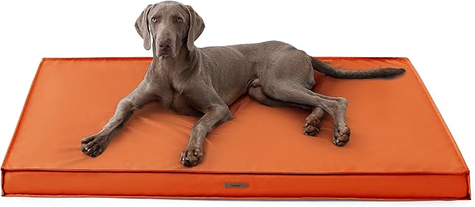 Lesure XXL Waterproof Dog Beds - Outdoor Dog Bed Washable with Oxford Fabric Surface, Extra Large Egg Orthopedic Foam Pet Bed with Removable and Durable Cover, Machine Washable