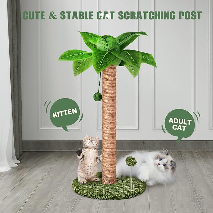 Cat Scratching Post, 26" Kitten Scratching Post with Premium Sisal Rope, Cute Cat Tree with Dangling and Spring Ball Toys for Indoor Small Cats