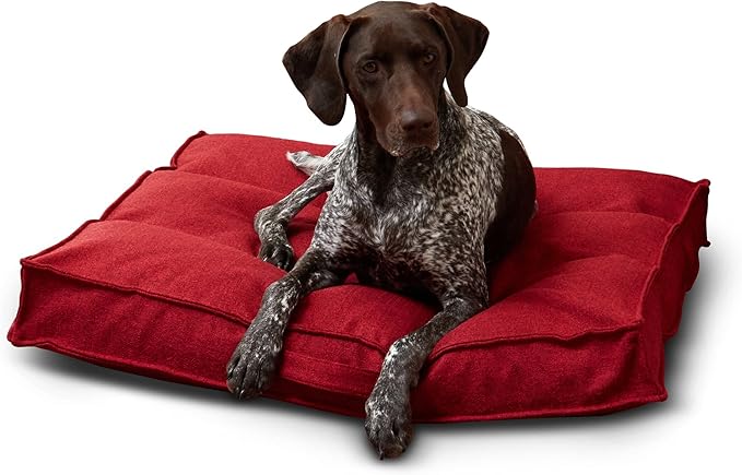 South Pine Porch Mila Square Tufted Pillow Style Dog Bed, Scarlet, Medium (32" x 32")